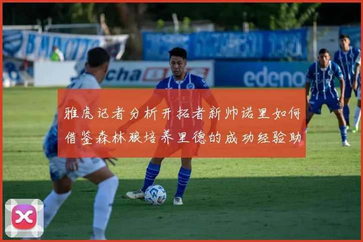 雅虎记者分析开拓者新帅诺里如何借鉴森林狼培养里德的成功经验助力杨瀚森